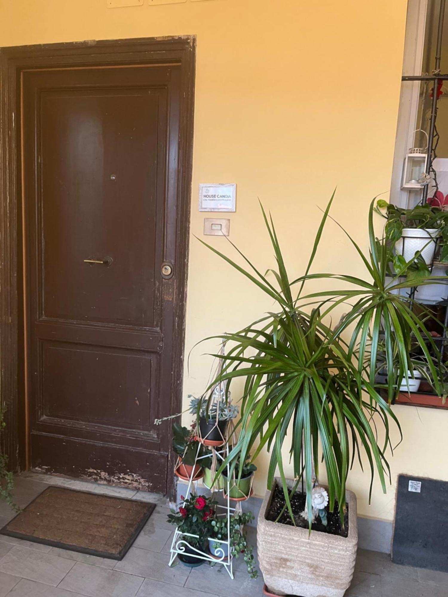 House Candia 111 - Vatican Museum Apartment โรม ภายนอก รูปภาพ